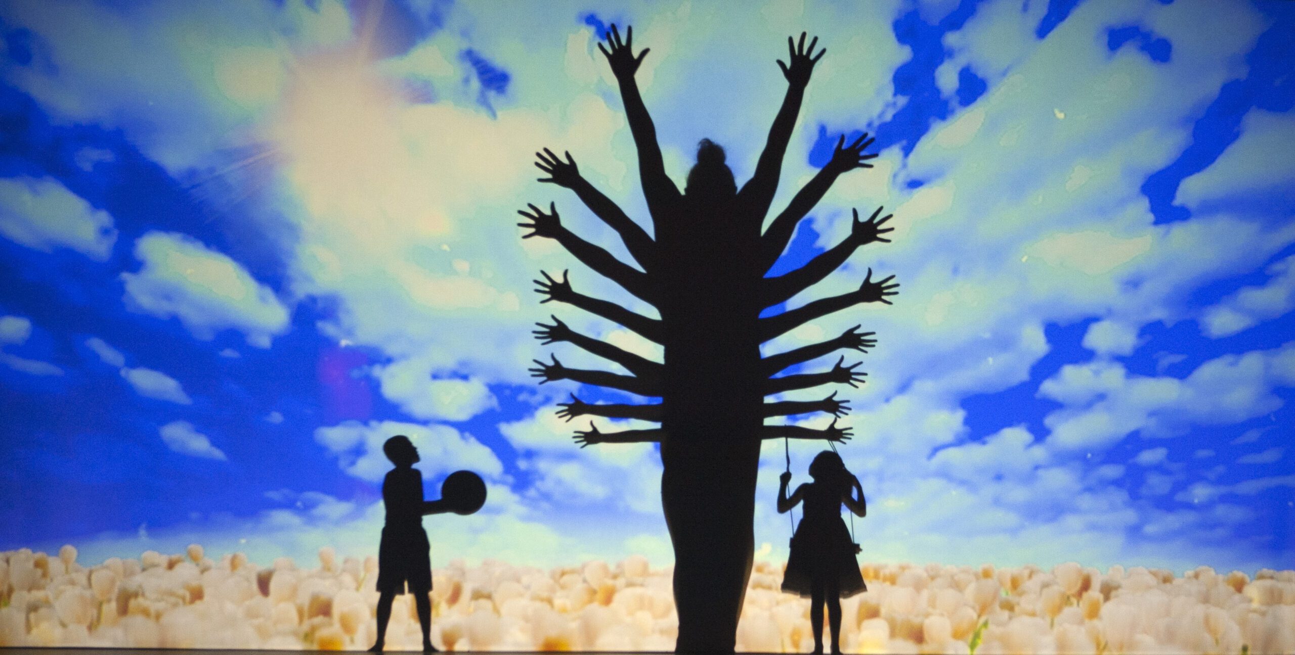 The Silhouettes